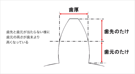 歯先と歯元が当たらない様に歯元の高さが歯末より高くなっている